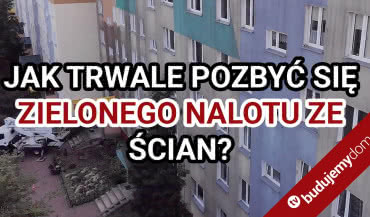 Jak trwale pozbyć się zielonego nalotu ze ścian? System BOLIX BIO COMPLEX!